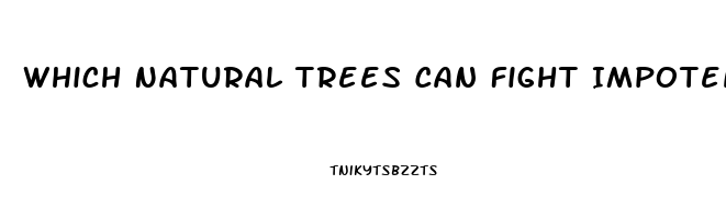 Which Natural Trees Can Fight Impotence