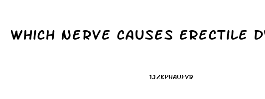 Which Nerve Causes Erectile Dysfunction