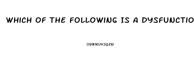 Which Of The Following Is A Dysfunction Of Religion