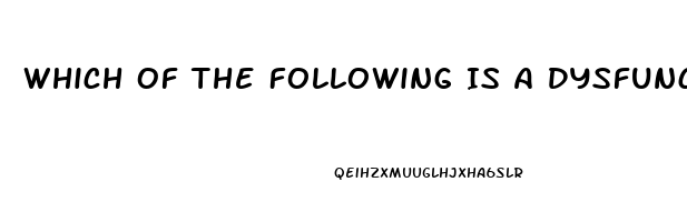 Which Of The Following Is A Dysfunction Of Religion