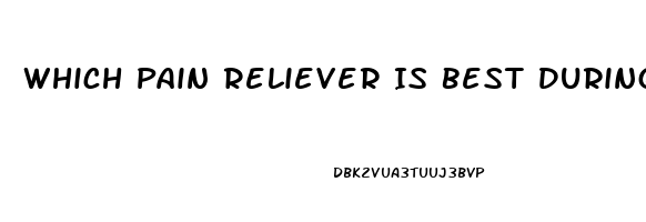 Which Pain Reliever Is Best During Pregnancy