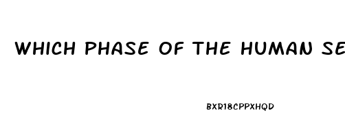 Which Phase Of The Human Sexual Response Cycle Is Not Affected By A Sexual Dysfunction