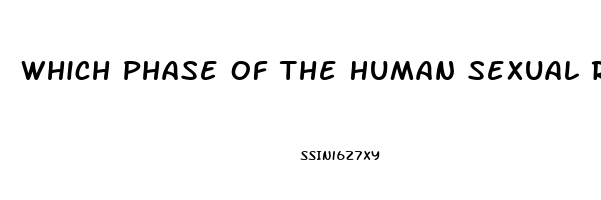 Which Phase Of The Human Sexual Response Cycle Is Not Affected By A Sexual Dysfunction