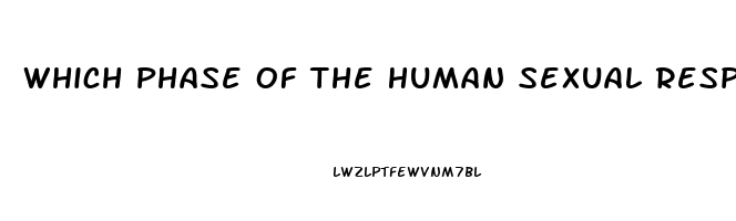 Which Phase Of The Human Sexual Response Cycle Is Not Affected By A Sexual Dysfunction