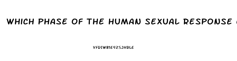 Which Phase Of The Human Sexual Response Cycle Is Not Affected By A Sexual Dysfunction