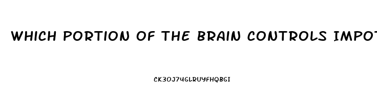 Which Portion Of The Brain Controls Impotence