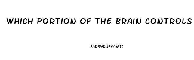 Which Portion Of The Brain Controls Impotence