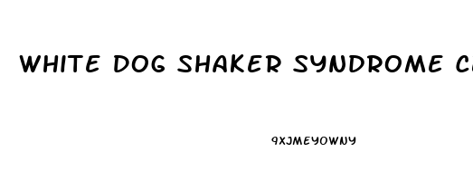 White Dog Shaker Syndrome Cbd Oil