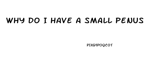 Why Do I Have A Small Penus