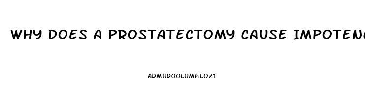 Why Does A Prostatectomy Cause Impotence