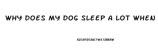 Why Does My Dog Sleep A Lot When I Give Cbd Oil