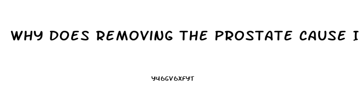 Why Does Removing The Prostate Cause Impotence