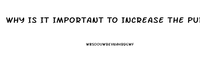 Why Is It Important To Increase The Purity Of Cbd Oil