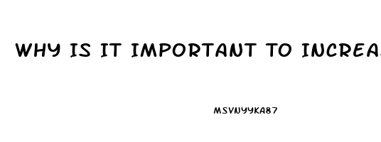 Why Is It Important To Increase The Purity Of Cbd Oil