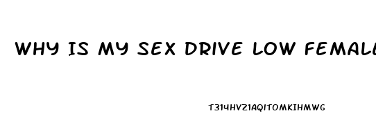 Why Is My Sex Drive Low Female