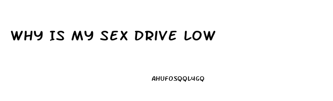 Why Is My Sex Drive Low