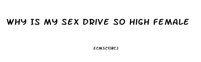 Why Is My Sex Drive So High Female