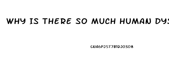 Why Is There So Much Human Dysfunction In Horse Rescue