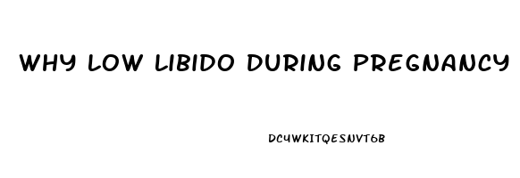 Why Low Libido During Pregnancy