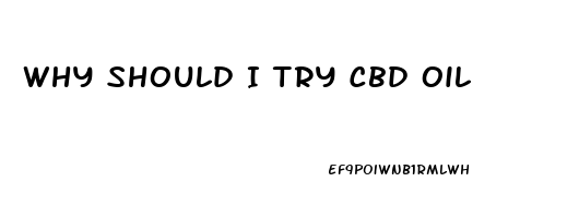 Why Should I Try Cbd Oil