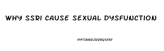 Why Ssri Cause Sexual Dysfunction