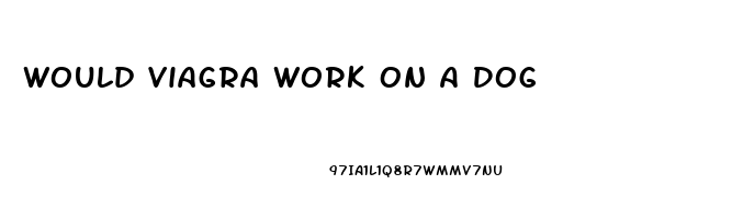 Would Viagra Work On A Dog