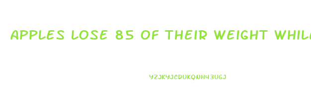 apples lose 85 of their weight while drying