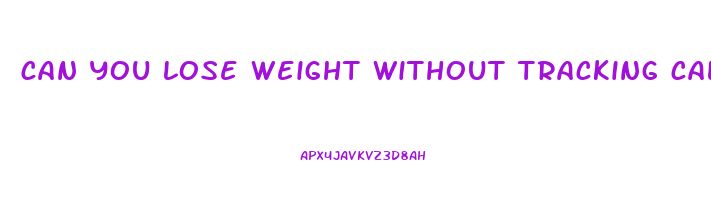 can you lose weight without tracking calories