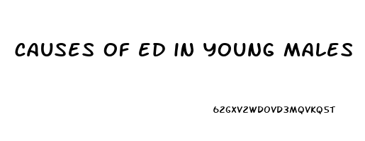 causes of ed in young males