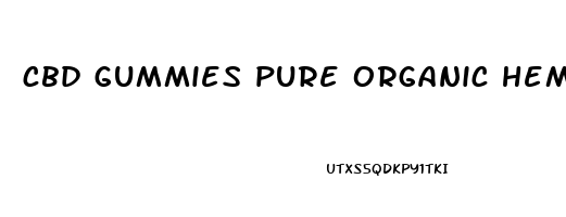 cbd gummies pure organic hemp extract 300mg