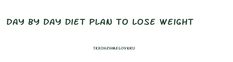 day by day diet plan to lose weight