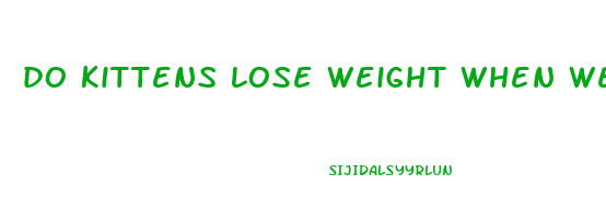 do kittens lose weight when weaning