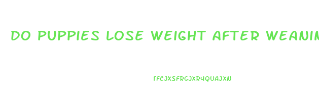 do puppies lose weight after weaning