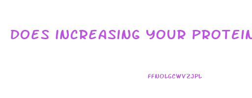 does increasing your protein intake help you lose weight