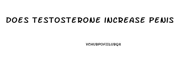 does testosterone increase penis