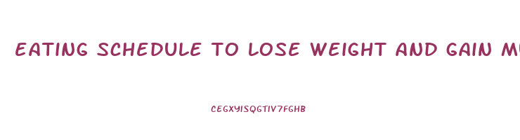 eating schedule to lose weight and gain muscle