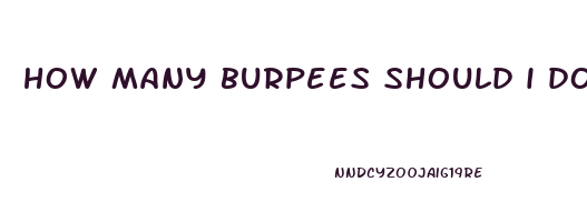 how many burpees should i do to lose weight