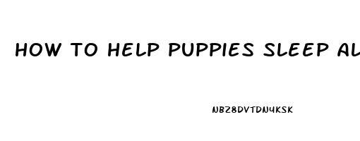 how to help puppies sleep all night