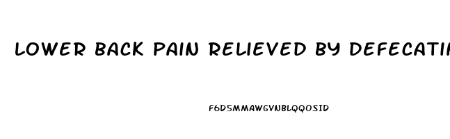 lower back pain relieved by defecating