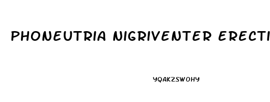 phoneutria nigriventer erectile dysfunction