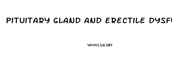 pituitary gland and erectile dysfunction