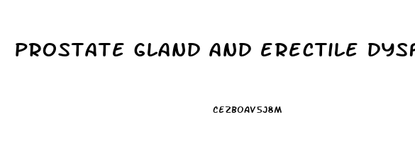 prostate gland and erectile dysfunction