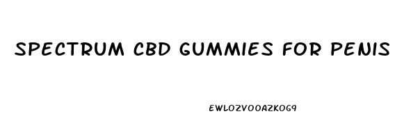 spectrum cbd gummies for penis