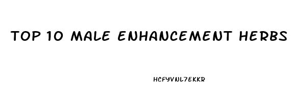 top 10 male enhancement herbs