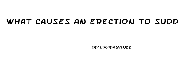 what causes an erection to suddenly go away