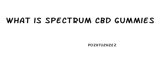 what is spectrum cbd gummies