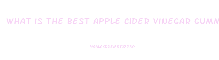 what is the best apple cider vinegar gummy