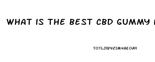 what is the best cbd gummy for joint pain