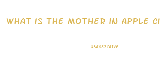 what is the mother in apple cider vinegar gummies