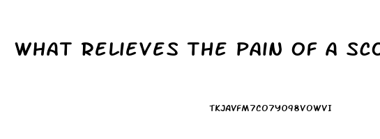 what relieves the pain of a scorpion sting